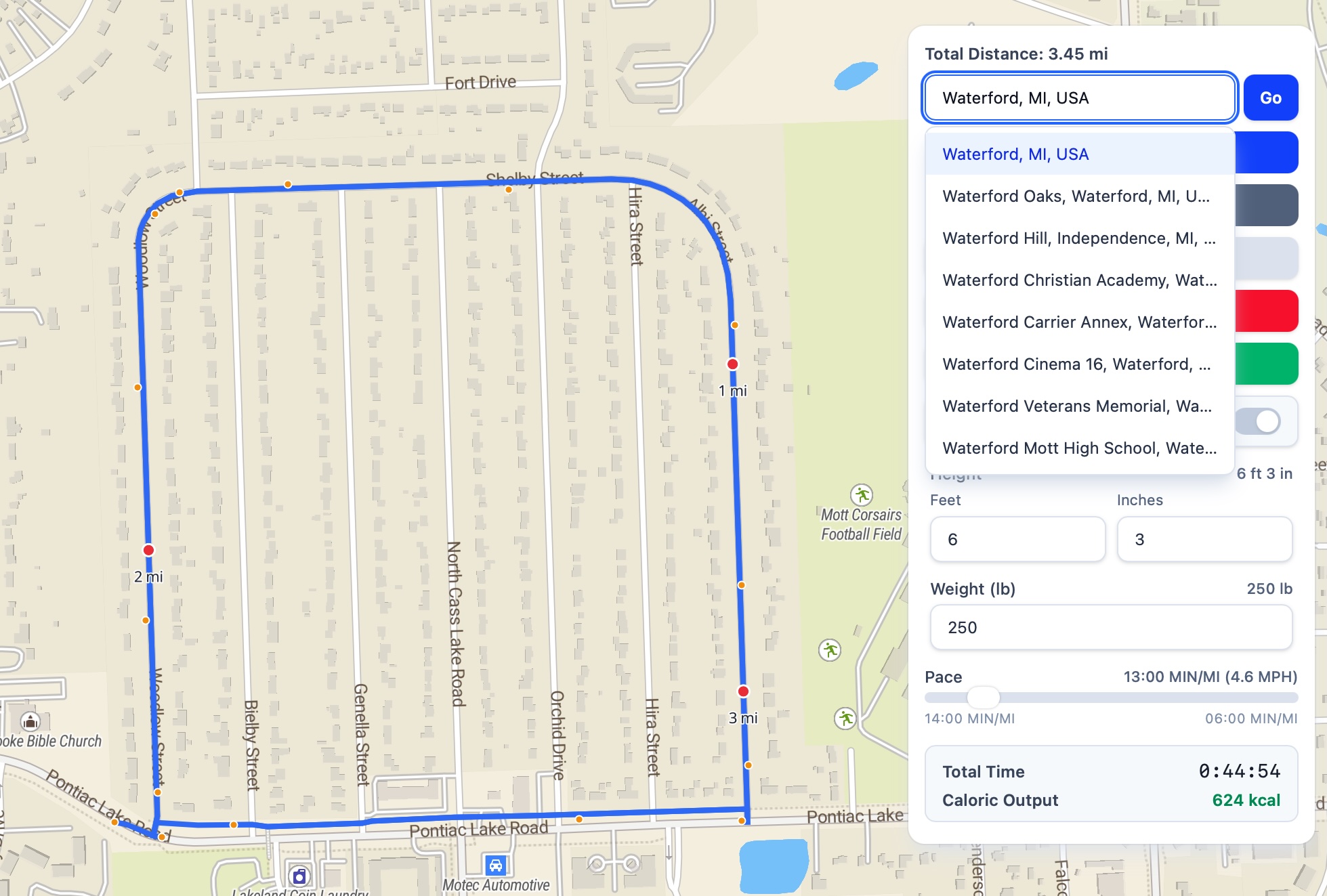 Map Pedometer Screenshot